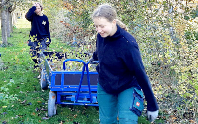 BVJ Garten und Landschaftsbau mit vollem Einsatz
